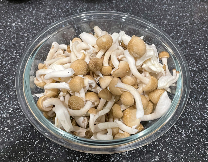 mushroom cream pasta7